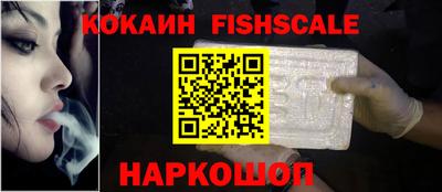 крисы Нальчик