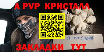 крисы Нальчик