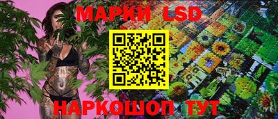 крисы Нальчик