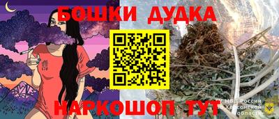 крисы Нальчик