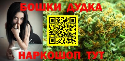 крисы Нальчик