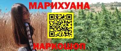крисы Нальчик