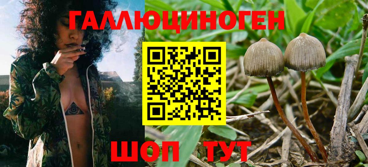 Галлюциногенные грибы мухоморы  Вход с VPN  Псилоцибиновые грибы прущие грибы  Пугачёв 
